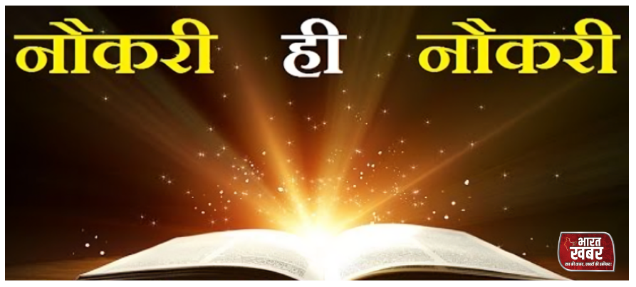 नौकरी ही नौकरी