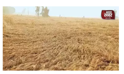 आंधी-तूफान की मार