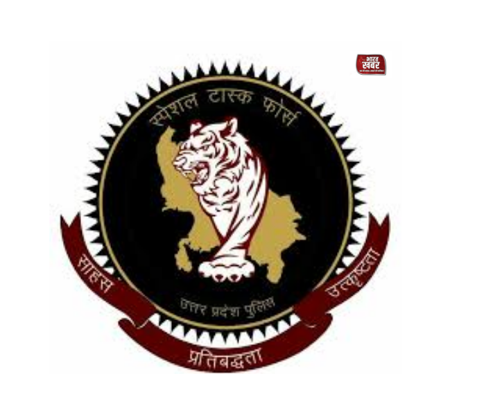 स्पेशल टास्क फोर्स