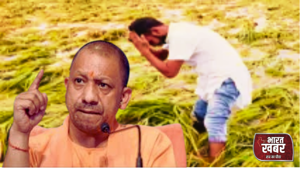 योगी का एक्शन