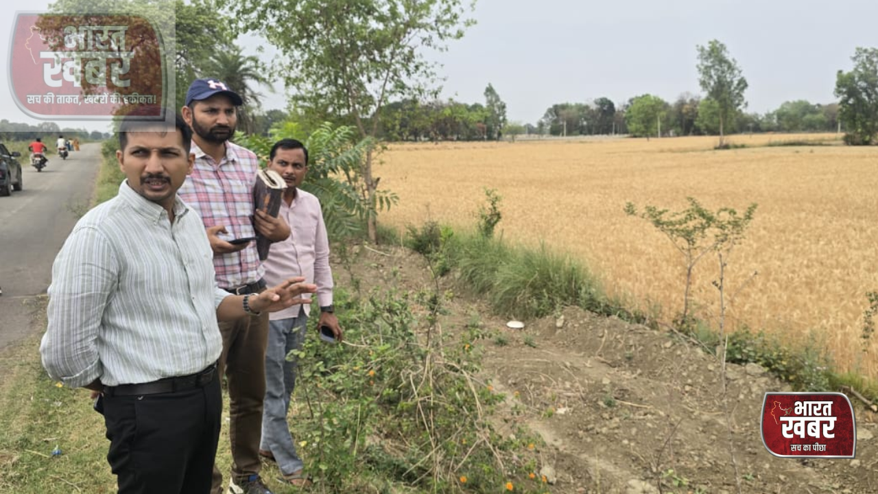 फाइल फोटो